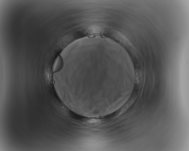 X0000088850718200707061033