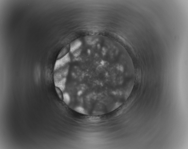X0000088850719200707061033