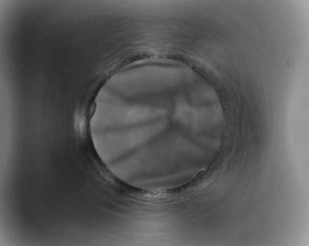 X0000088850720200707061033
