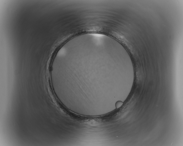 X0000088850721200707061032