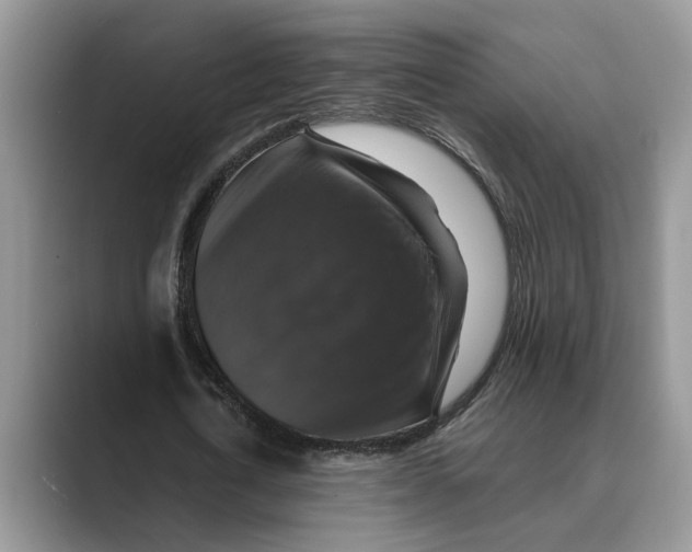 X0000088850722200707061032