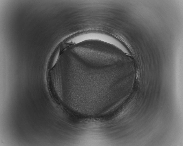 X0000088850724200707061032