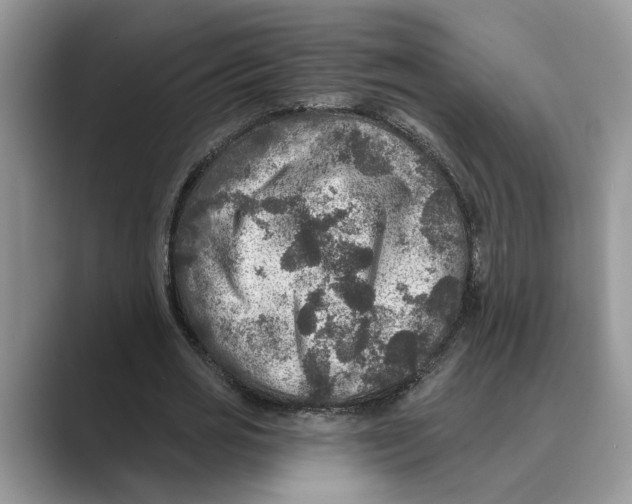 X0000088850725200707061032