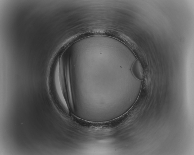 X0000088850728200707061032