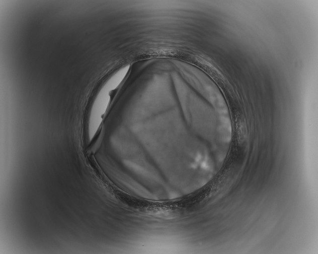 X0000088850729200707061032