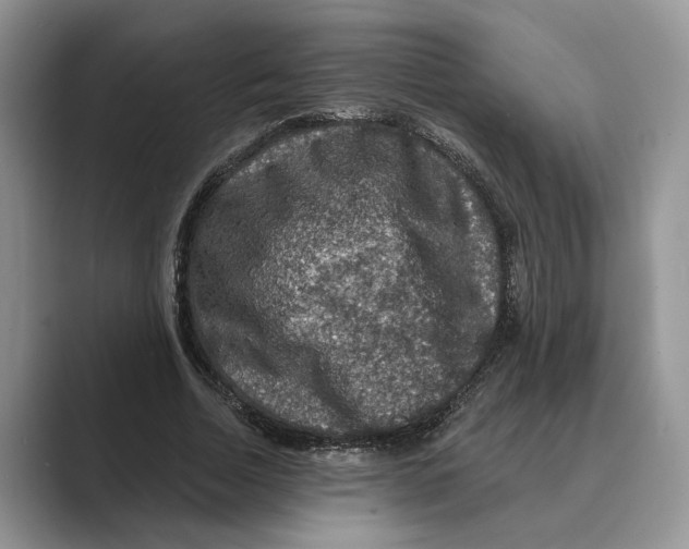 X0000088850730200707061032