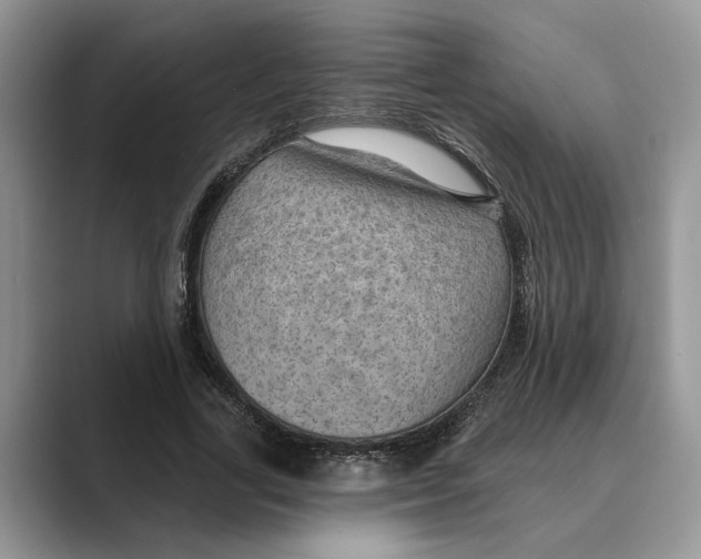 X0000088850731200707061032