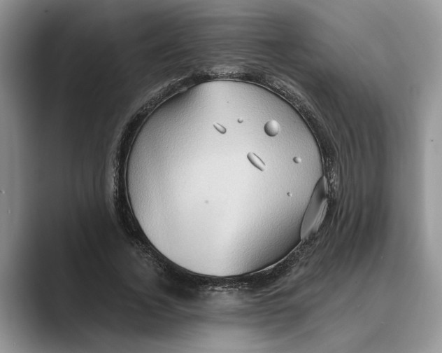 X0000088850732200707061032