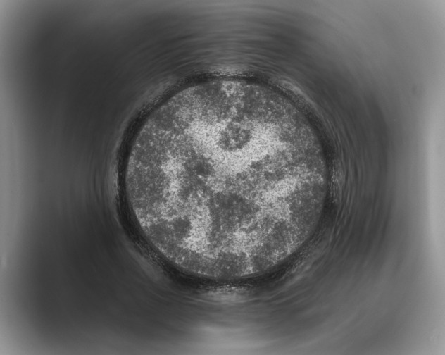 X0000088850734200707061032