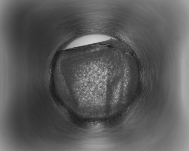 X0000088850735200707061032