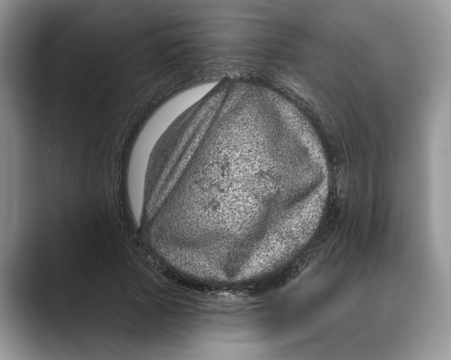 X0000088850737200707061032