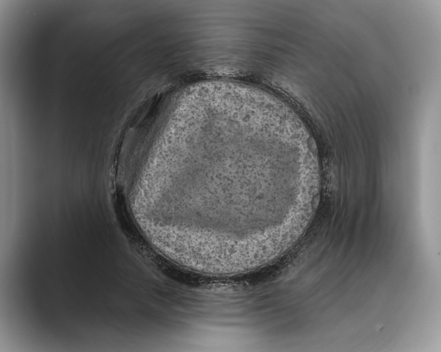X0000088850738200707061032