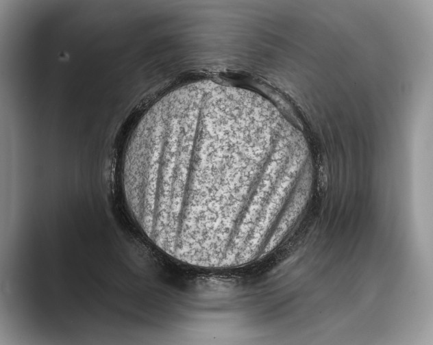 X0000088850739200707061032