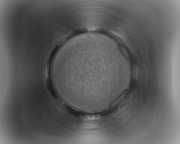 X0000088850740200707061032