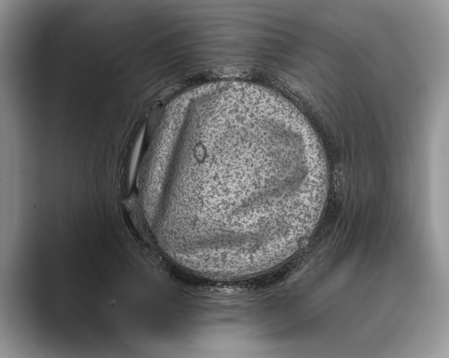X0000088850741200707061032