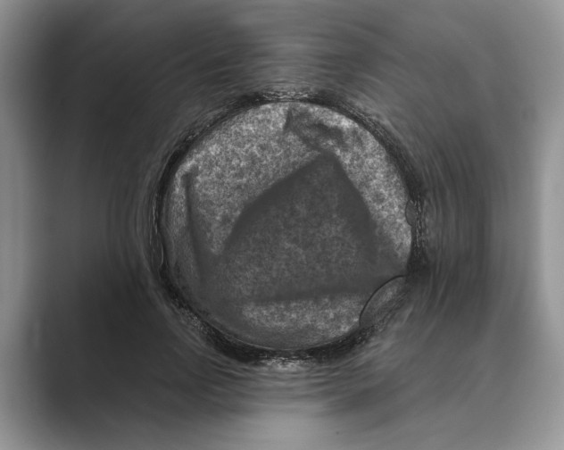 X0000088850742200707061032