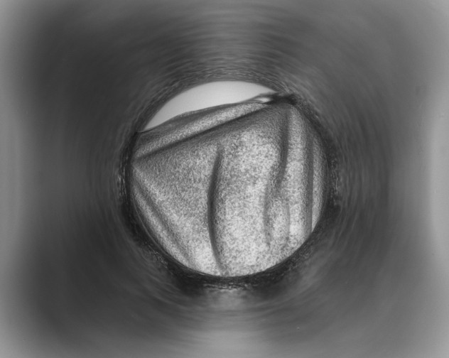 X0000088850743200707061032