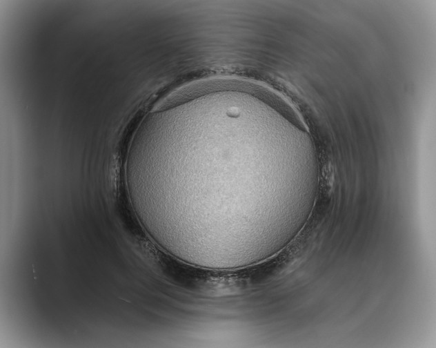 X0000088850744200707061032