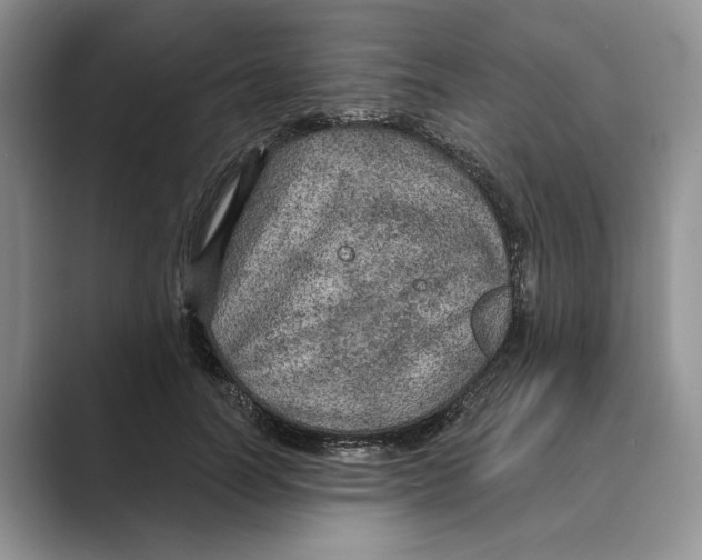 X0000088850746200707061032