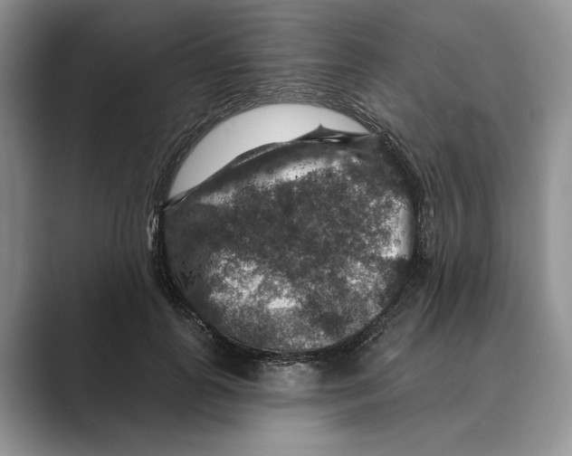 X0000088850747200707061032