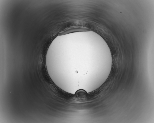 X0000088850752200707061033