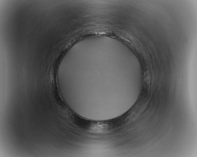 X0000088850754200707061033