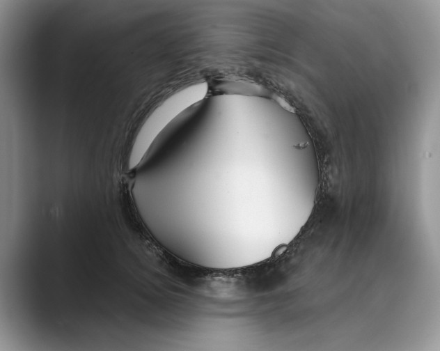 X0000088850756200707061033