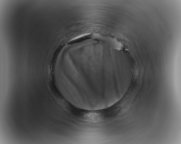 X0000088850759200707061033