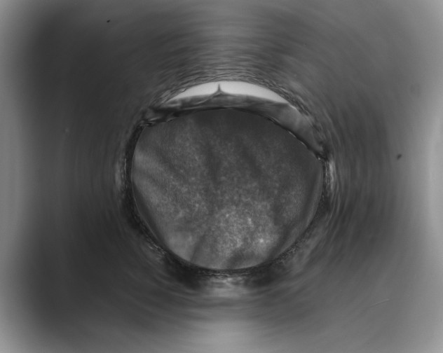 X0000088850760200707061033