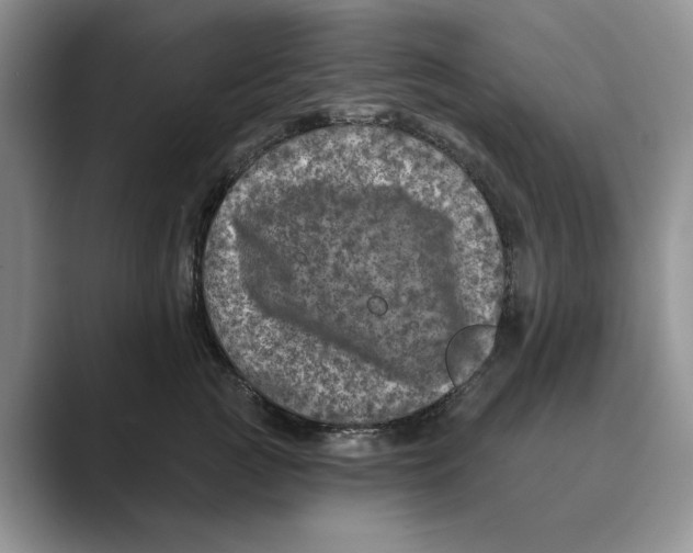 X0000088850761200707061033
