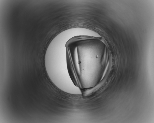 X0000088850762200707061033