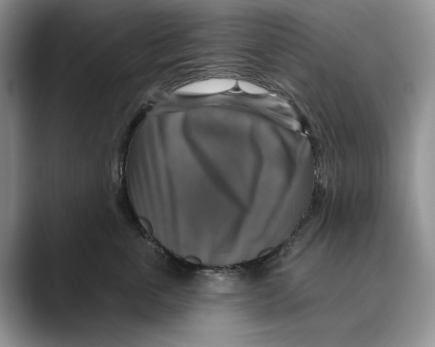 X0000088850763200707061033