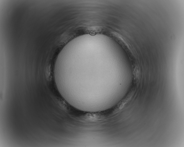 X0000088850764200707061033