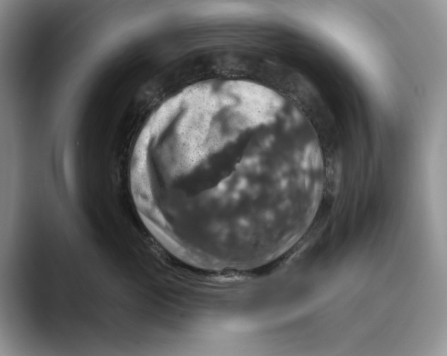 X0000088850765200707061033