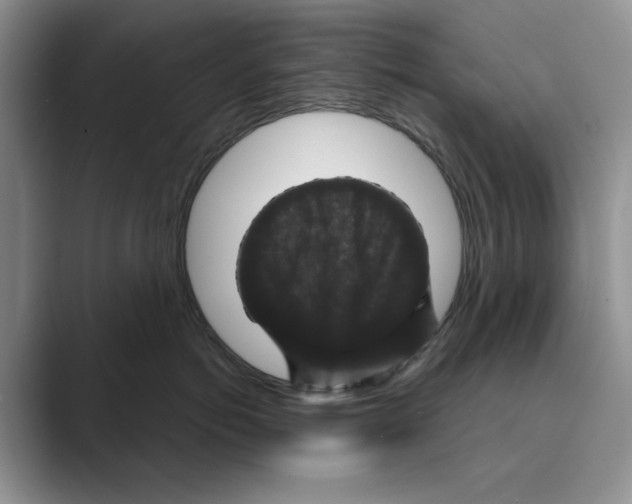 X0000088850766200707061033