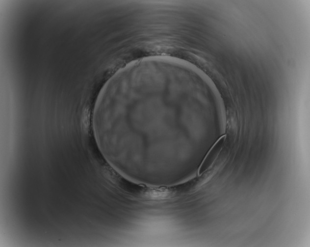 X0000088850767200707061033