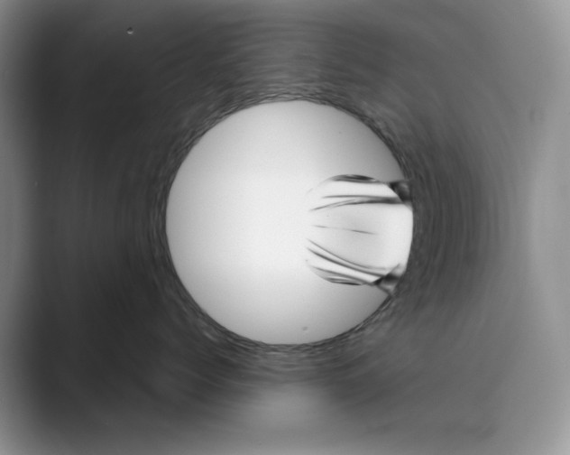 X0000088850768200707061033