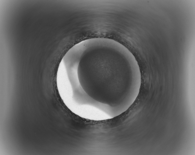 X0000088850769200707061032