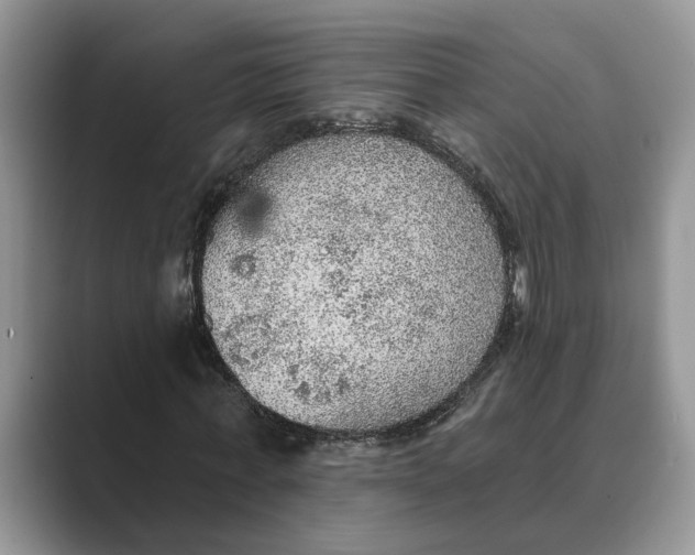 X0000088850771200707061032