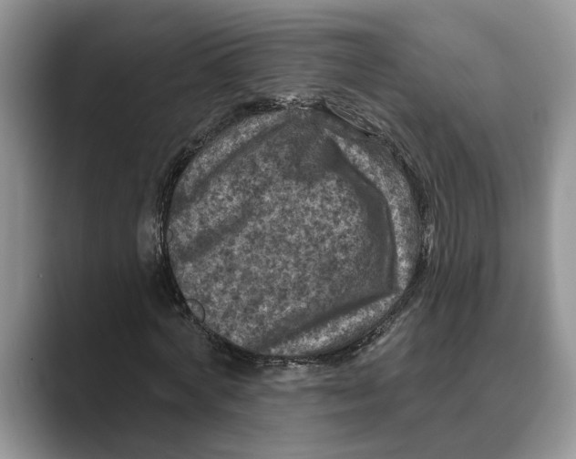 X0000088850772200707061032