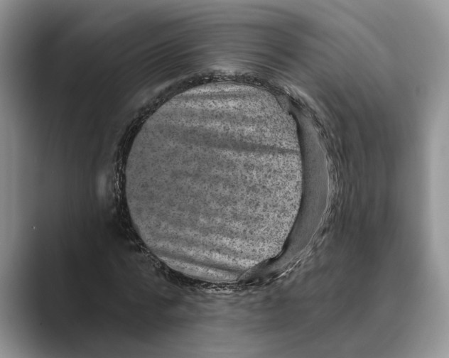 X0000088850776200707061032
