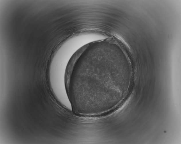 X0000088850777200707061032