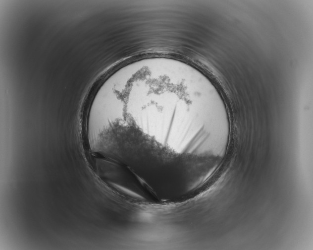 X0000088850779200707061032
