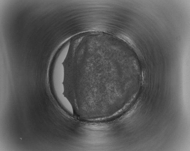 X0000088850780200707061032