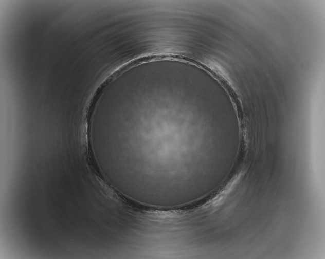 X0000088850781200707061032