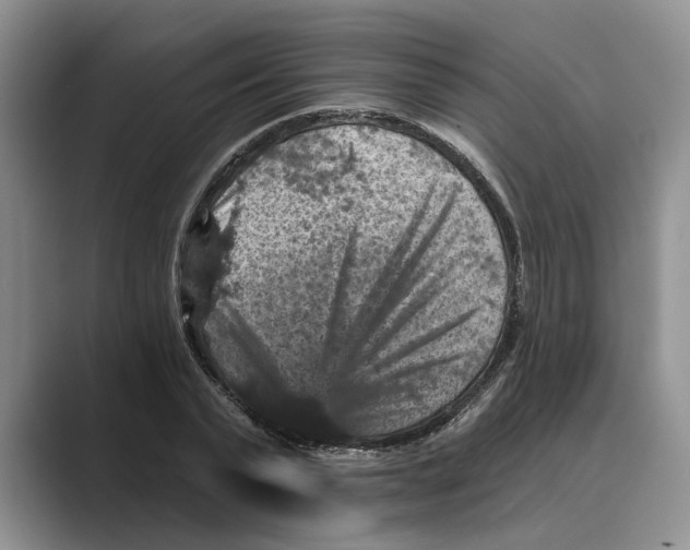 X0000088850783200707061032