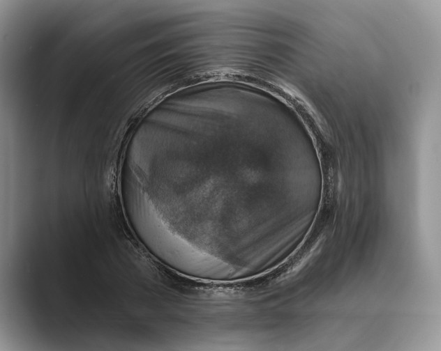 X0000088850785200707061032