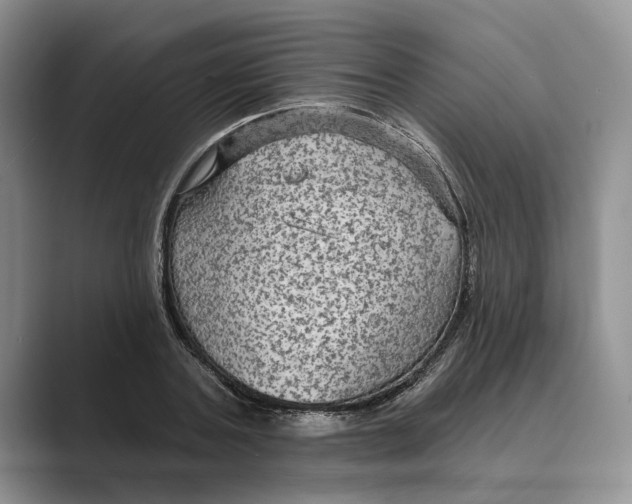 X0000088850787200707061032