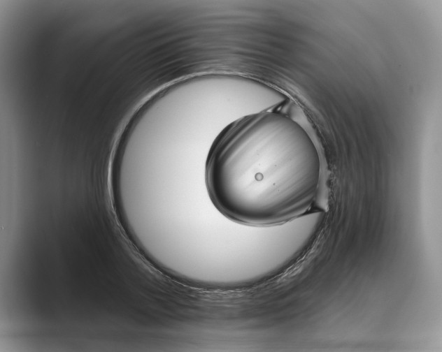 X0000088850788200707061032