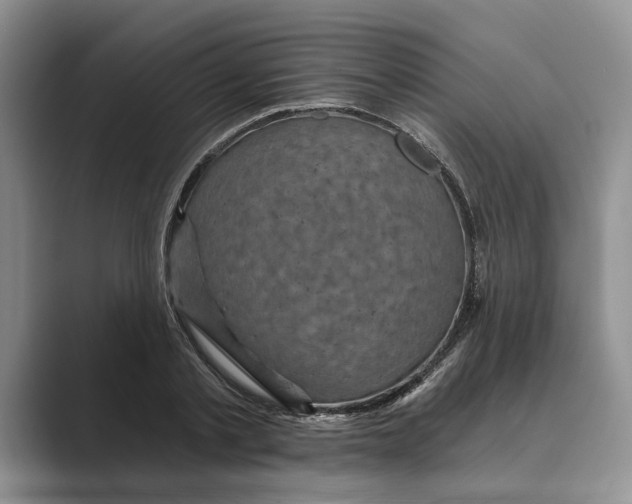 X0000088850789200707061032